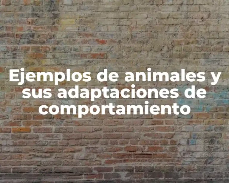 Ejemplos de animales y sus adaptaciones de comportamiento