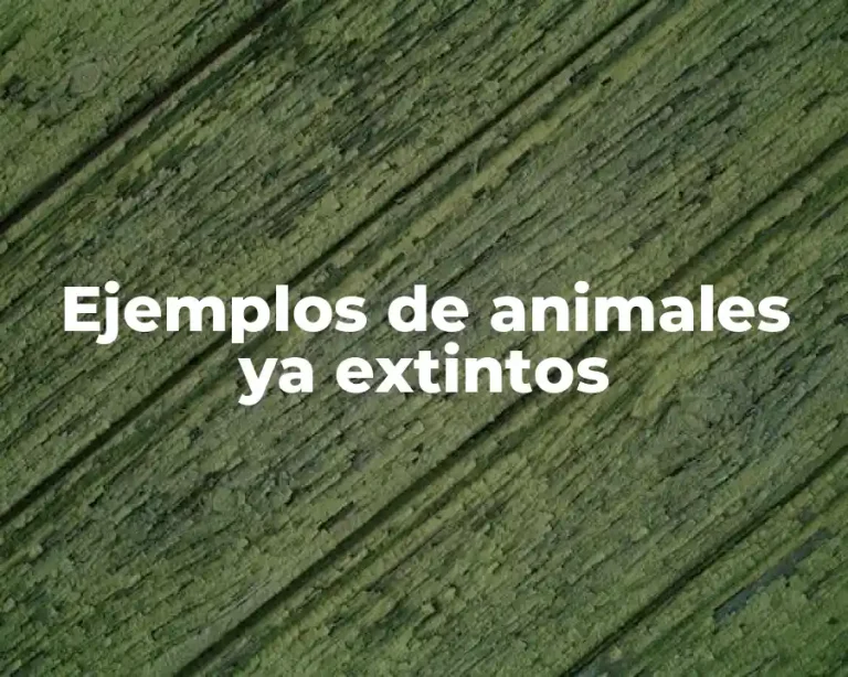 Ejemplos de animales ya extintos