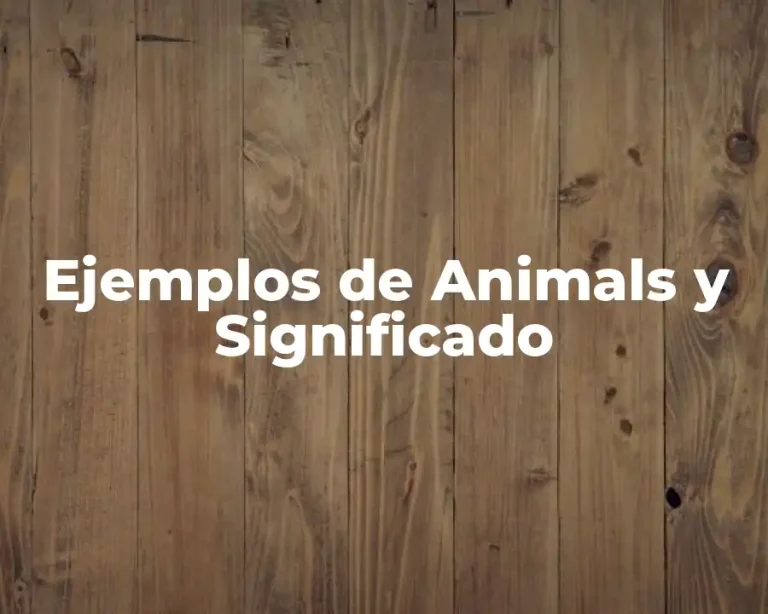 Ejemplos de Animals y Significado