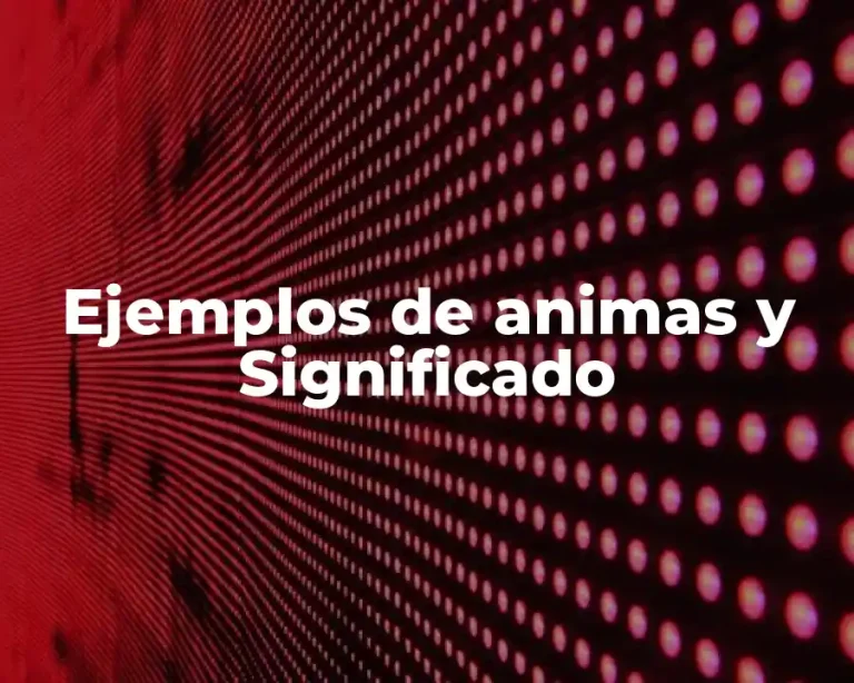 Ejemplos de animas y Significado