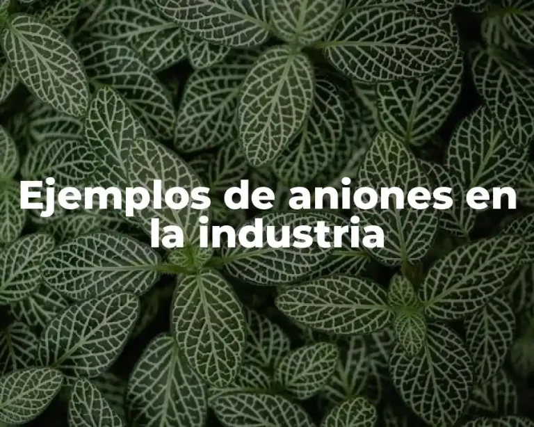 Ejemplos de aniones en la industria