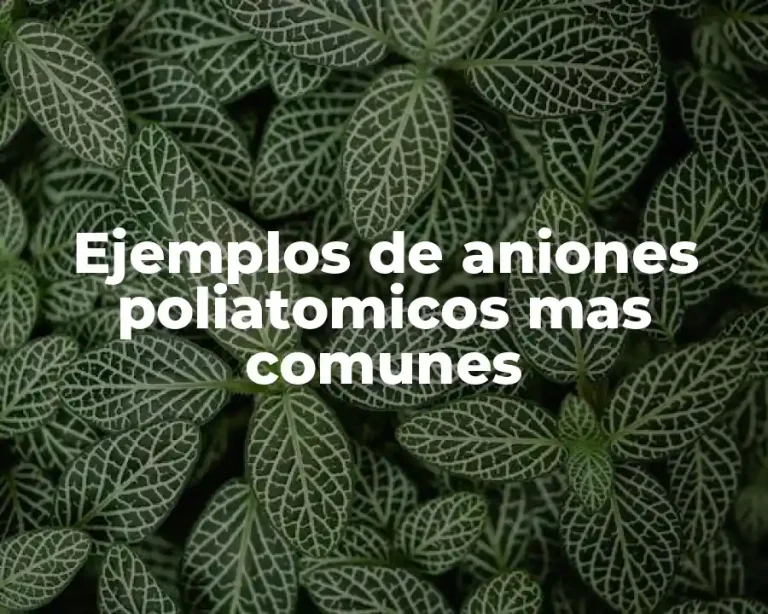 Ejemplos de aniones poliatomicos mas comunes