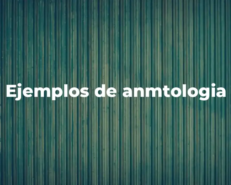 Ejemplos de anmtologia