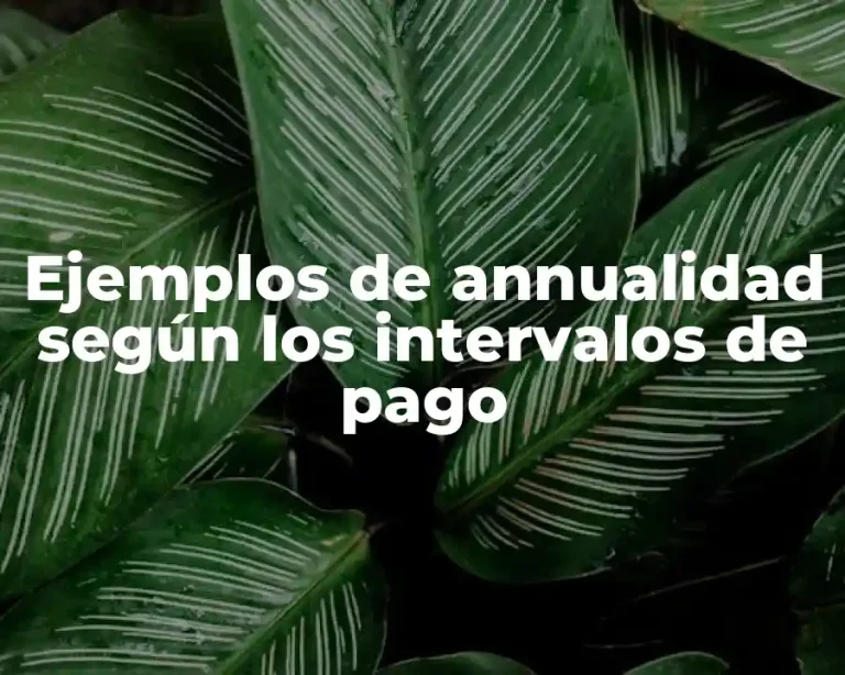 Ejemplos de annualidad según los intervalos de pago