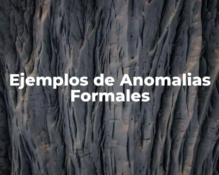 Ejemplos de Anomalias Formales
