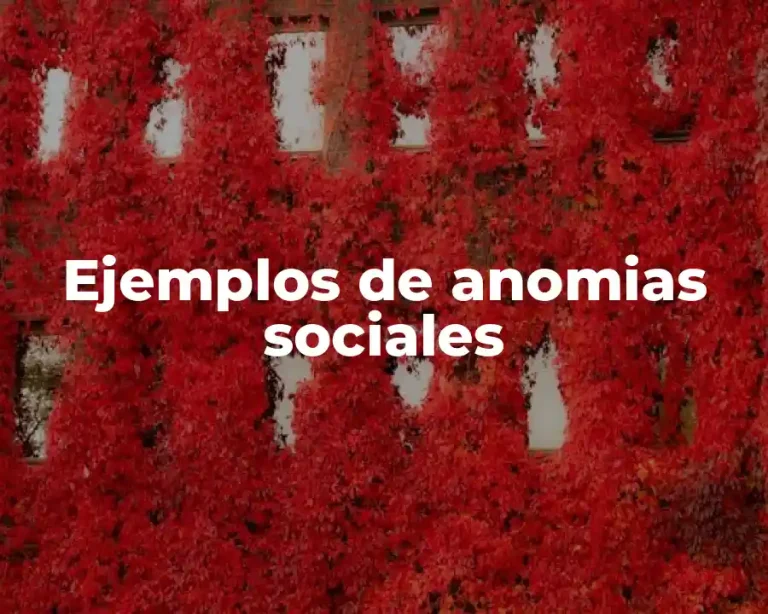Ejemplos de anomias sociales