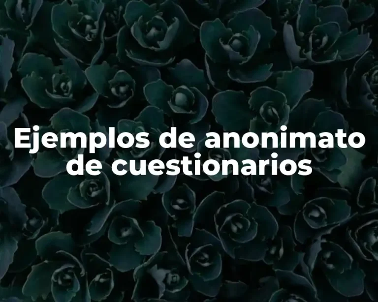 Ejemplos de anonimato de cuestionarios