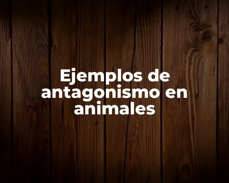 Ejemplos de antagonismo en animales