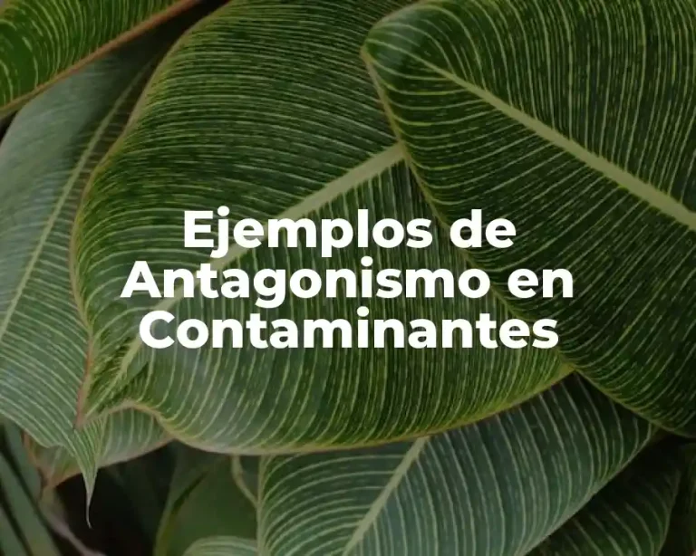 Ejemplos de Antagonismo en Contaminantes