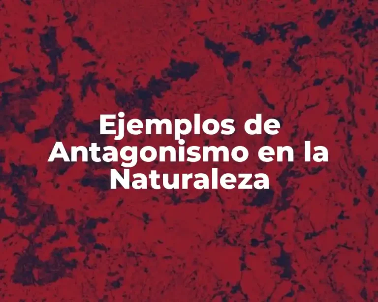 Ejemplos de Antagonismo en la Naturaleza