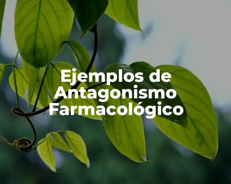 Ejemplos de Antagonismo Farmacológico