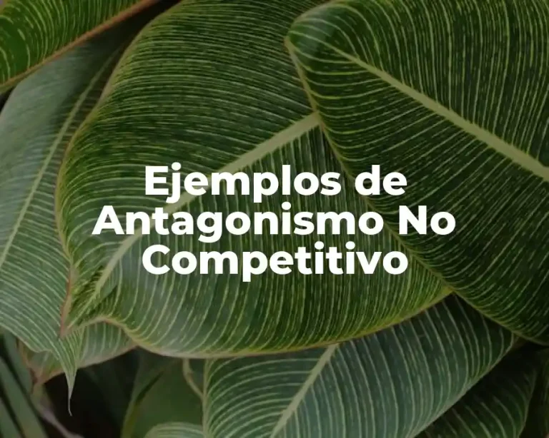 Ejemplos de Antagonismo No Competitivo