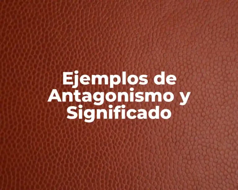 Ejemplos de Antagonismo y Significado