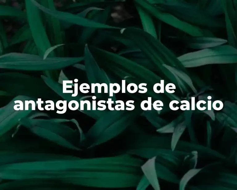 Ejemplos de antagonistas de calcio