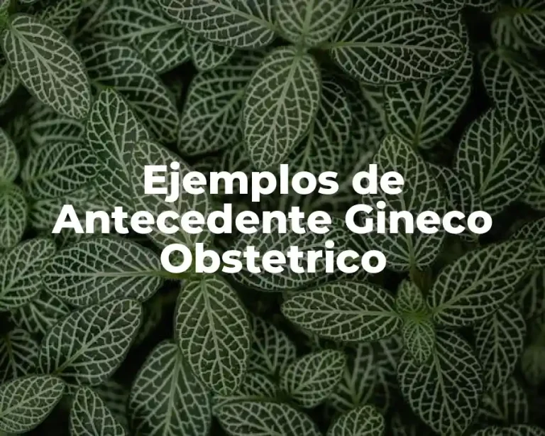 Ejemplos de Antecedente Gineco Obstetrico