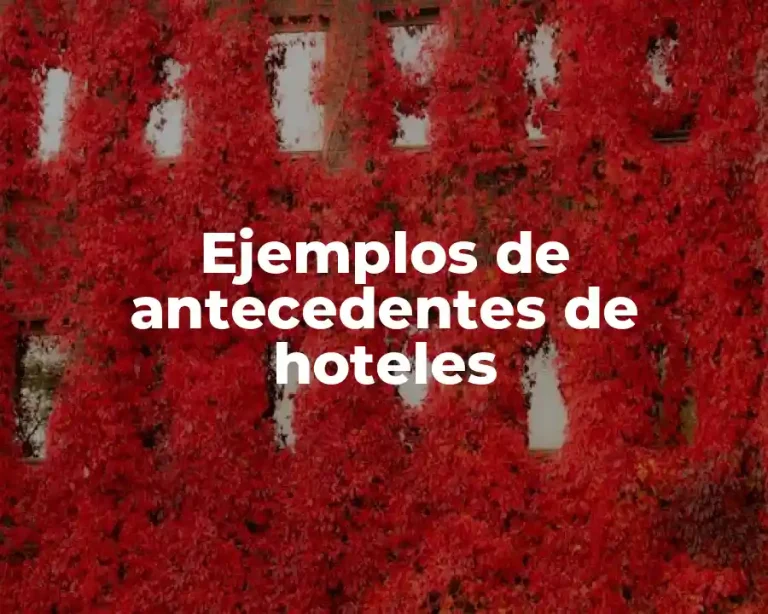 Ejemplos de antecedentes de hoteles