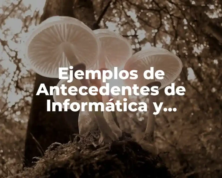 Ejemplos de Antecedentes de Informática y Significado