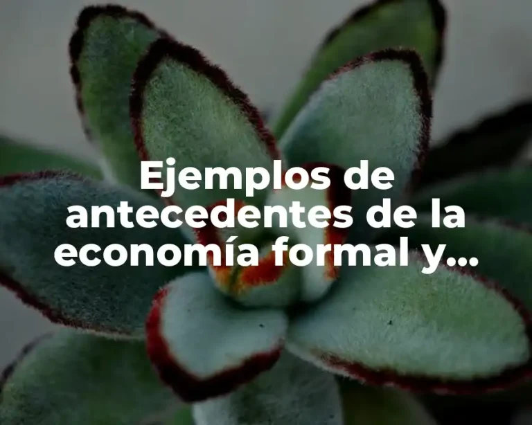 Ejemplos de antecedentes de la economía formal y Significado