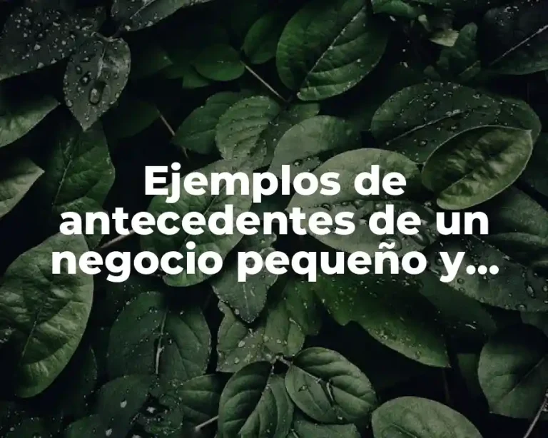 Ejemplos de antecedentes de un negocio pequeño y Significado