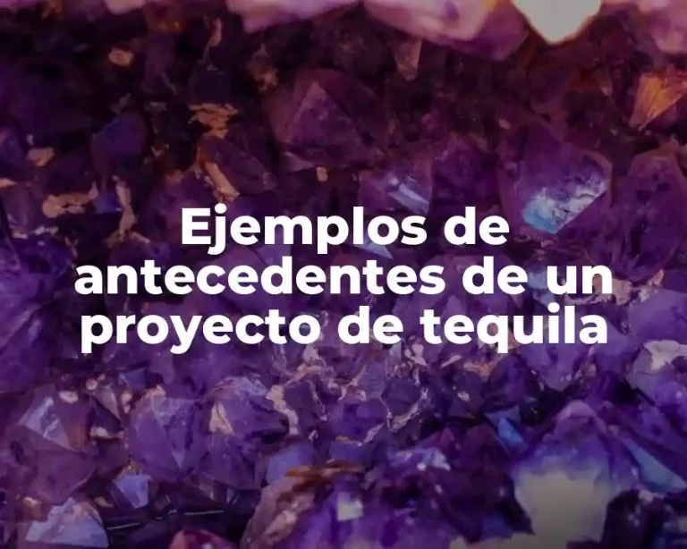 Ejemplos de antecedentes de un proyecto de tequila