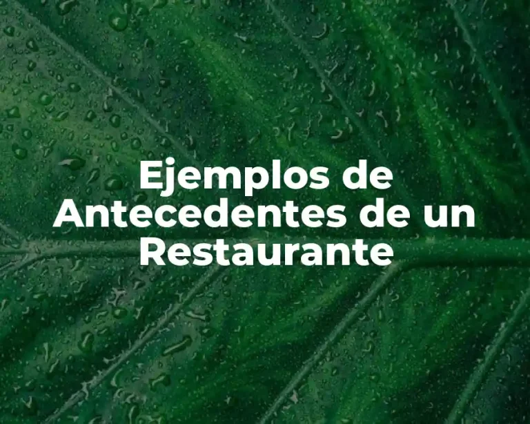 Ejemplos de Antecedentes de un Restaurante