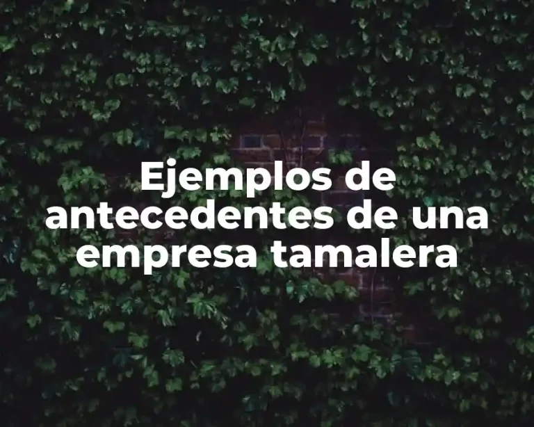 Ejemplos de antecedentes de una empresa tamalera