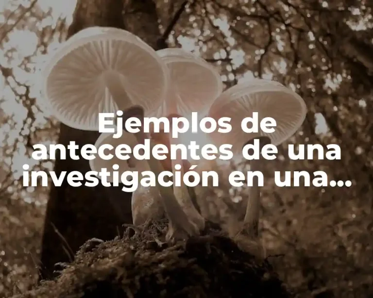 Ejemplos de antecedentes de una investigación en una tesis