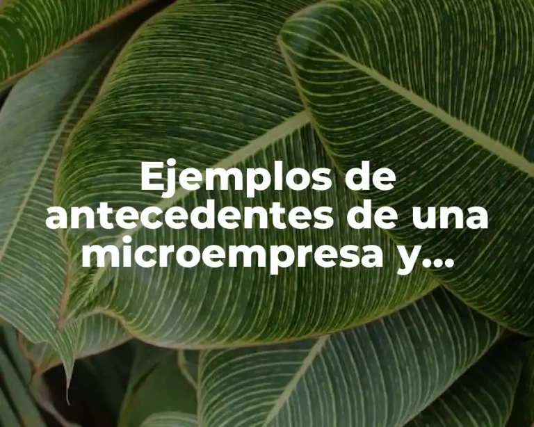 Ejemplos de antecedentes de una microempresa y Significado
