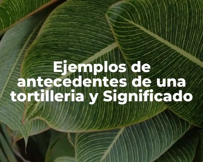 Ejemplos de antecedentes de una tortilleria y Significado