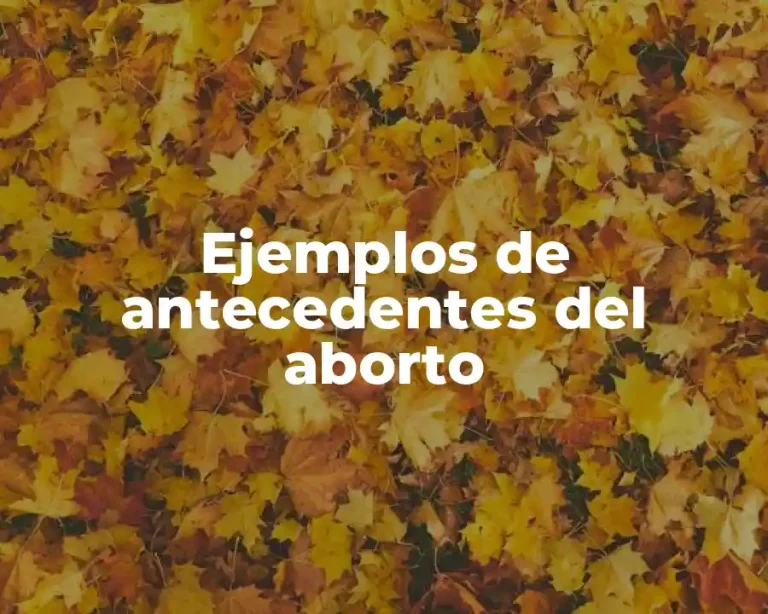 Ejemplos de antecedentes del aborto