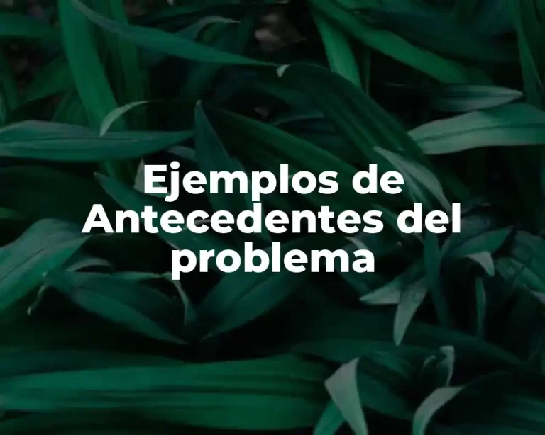 Ejemplos de Antecedentes del problema