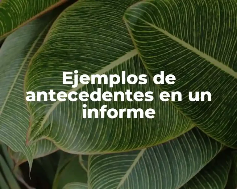 Ejemplos de antecedentes en un informe