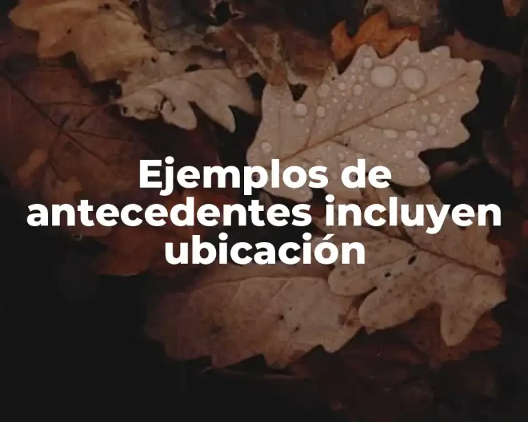 Ejemplos de antecedentes incluyen ubicación