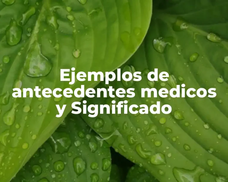 Ejemplos de antecedentes medicos y Significado