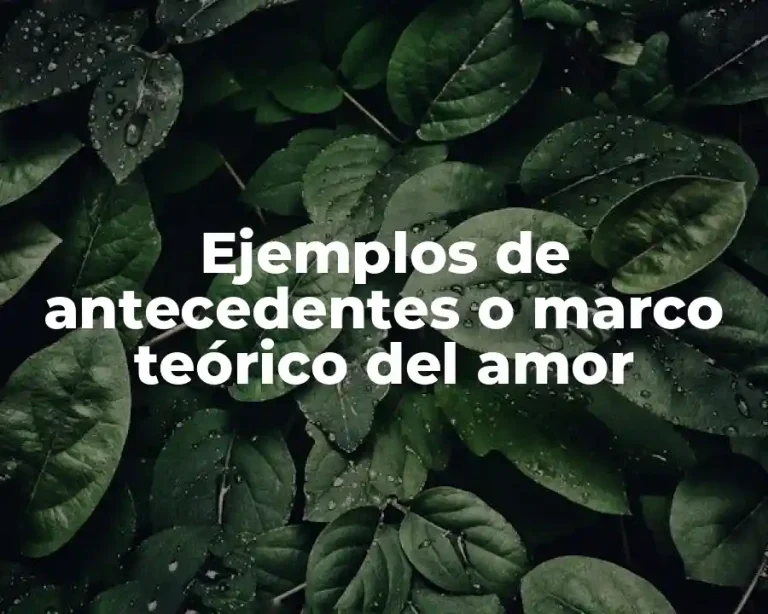 Ejemplos de antecedentes o marco teórico del amor