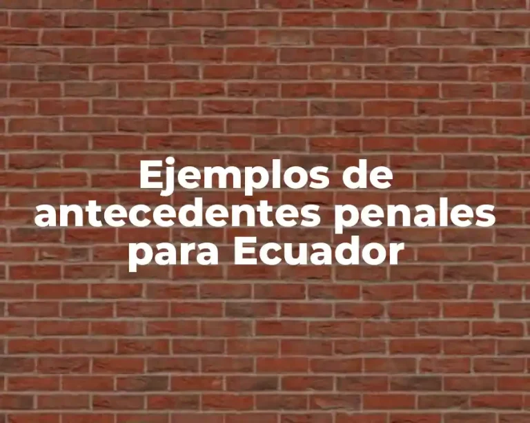 Ejemplos de antecedentes penales para Ecuador