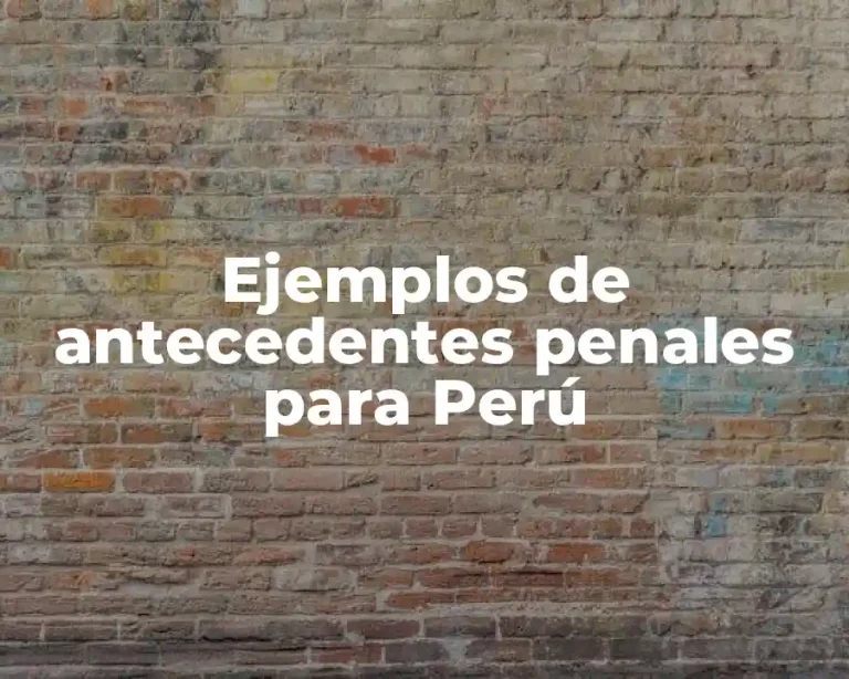 Ejemplos de antecedentes penales para Perú