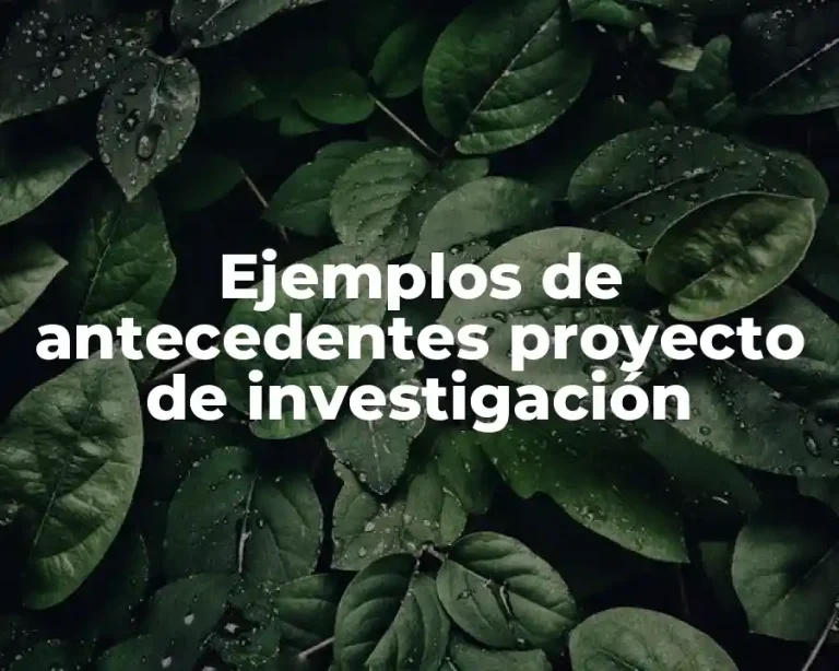 Ejemplos de antecedentes proyecto de investigación