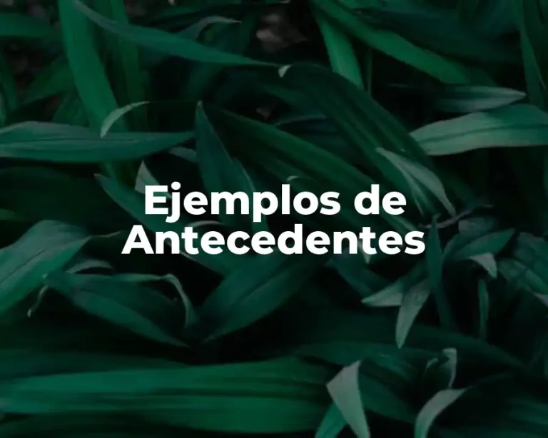 Ejemplos de Antecedentes