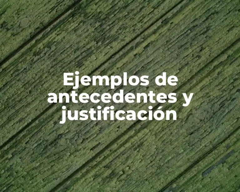Ejemplos de antecedentes y justificación