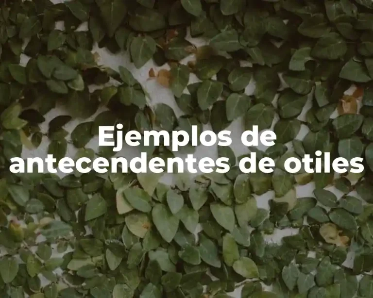 Ejemplos de antecendentes de otiles