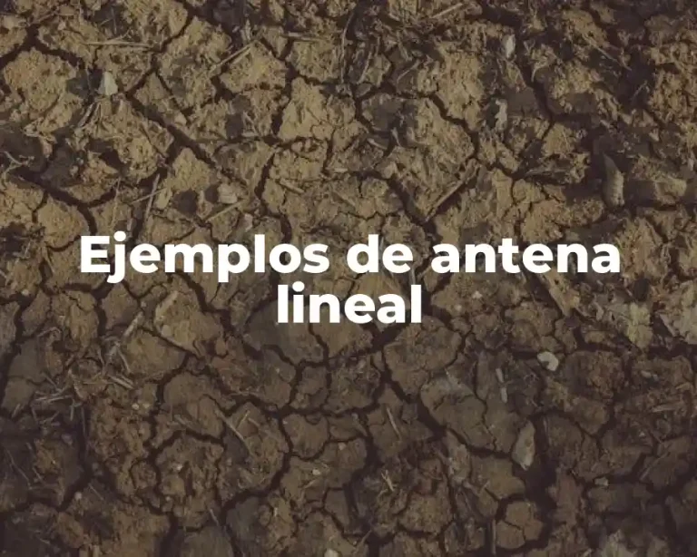 Ejemplos de antena lineal