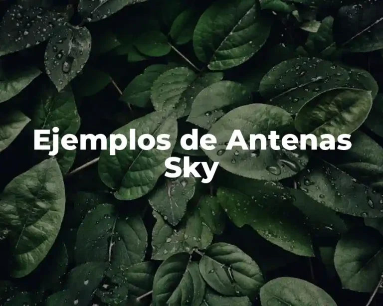 Ejemplos de Antenas Sky