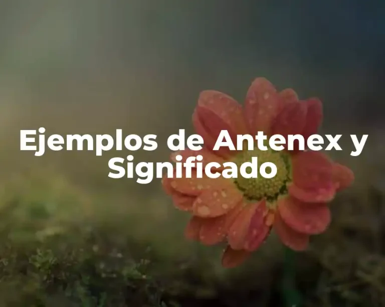 Ejemplos de Antenex y Significado