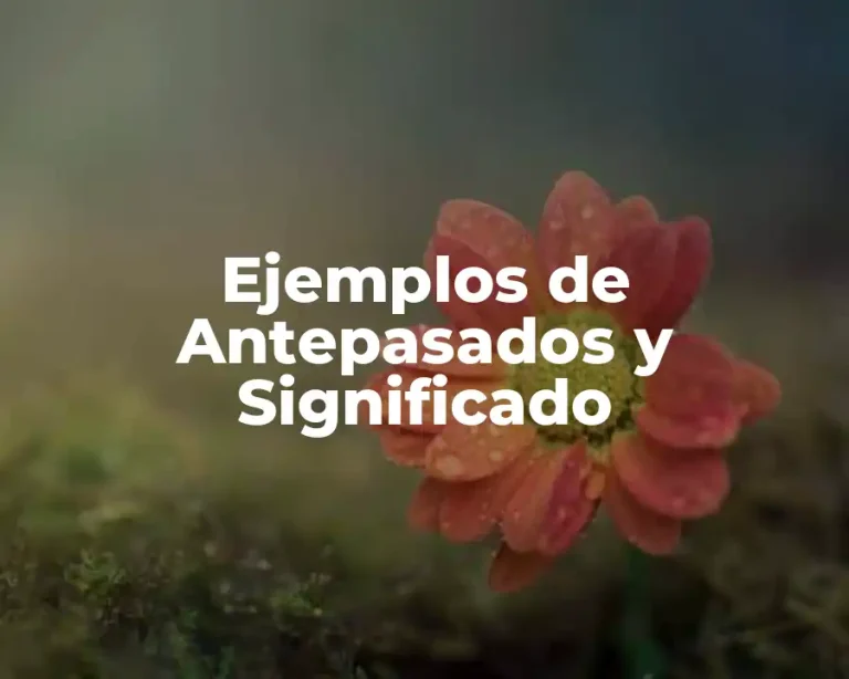 Ejemplos de Antepasados y Significado