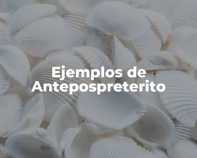 Ejemplos de Antepospreterito