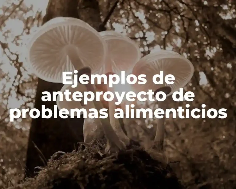 Ejemplos de anteproyecto de problemas alimenticios