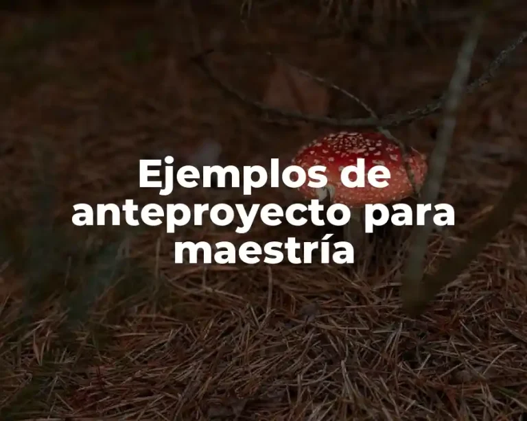 Ejemplos de anteproyecto para maestría