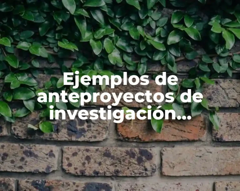 Ejemplos de anteproyectos de investigación elaborados y Significado