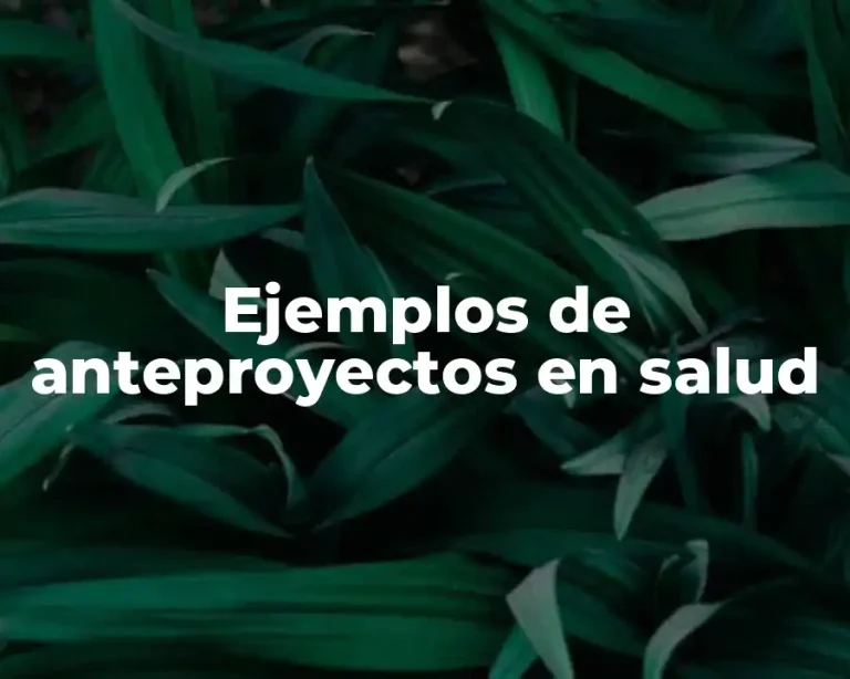 Ejemplos de anteproyectos en salud